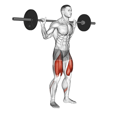 How to do Barbell Low Bar Squat — animated demonstration