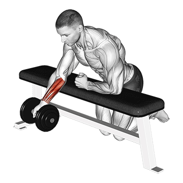 How to do Single-Arm Reverse Dumbbell Wrist Curl — animated demonstration