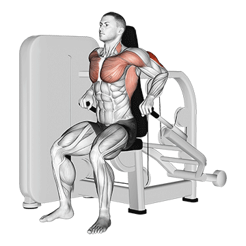 How to do Lever Seated Dip — animated demonstration