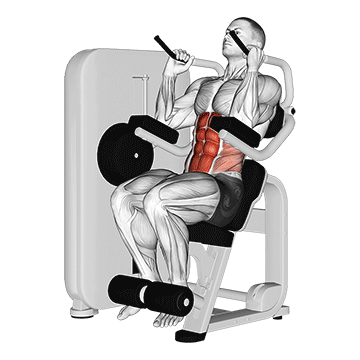 How to do Lever Seated Crunch — animated demonstration