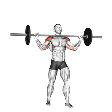 How to do Barbell Standing Wide Military Press — animated demonstration