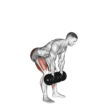 How to do Dumbbell Romanian Deadlift — animated demonstration