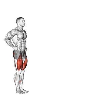 How to do Walking Lunge — animated demonstration