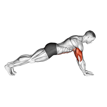 How to do Forearm Push-Up — animated demonstration