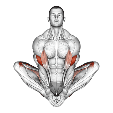 How to do Butterfly Yoga Pose — animated demonstration