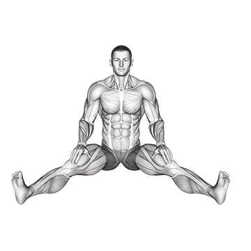 How to do Seated Wide Angle Pose Sequence — animated demonstration