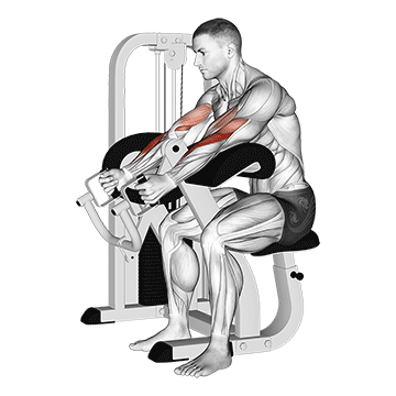 How to do Lever Hammer Grip Preacher Curl — animated demonstration