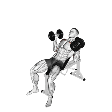 How to do Neutral-Grip Incline Dumbbell Press — animated demonstration