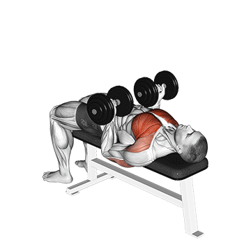 How to do Dumbbell Reverse Bench Press — animated demonstration