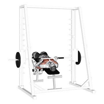 How to do Reverse-Grip Decline Smith Bench Press — animated demonstration