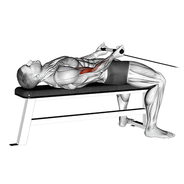 How to do Lying Cable Biceps Curl — animated demonstration