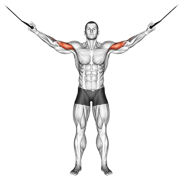 How to do Cable Overhead Curl — animated demonstration
