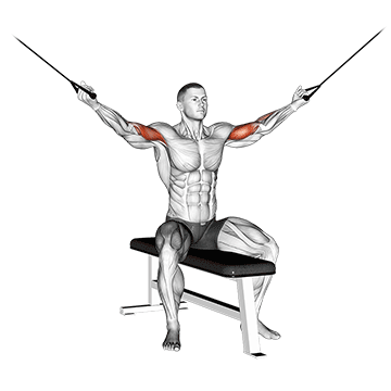 How to do Cable Seated Overhead Curl — animated demonstration