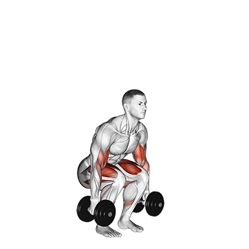 How to do Dumbbell Biceps Curl Squat — animated demonstration