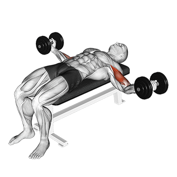 How to do Dumbbell Lying Wide Curl — animated demonstration