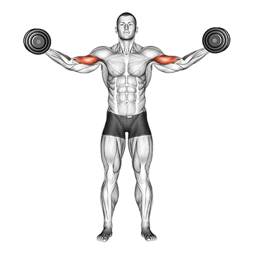 How to do Dumbbell High Curl — animated demonstration
