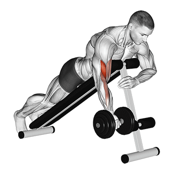 How to do Dumbbell Single-Arm Prone Curl — animated demonstration