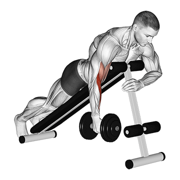 How to do Dumbbell Single-Arm Prone Hammer Curl — animated demonstration