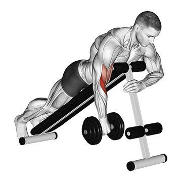 How to do Dumbbell Single-Arm Reverse Spider Curl — animated demonstration