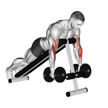 How to do Dumbbell Prone Incline Hammer Curl — animated demonstration