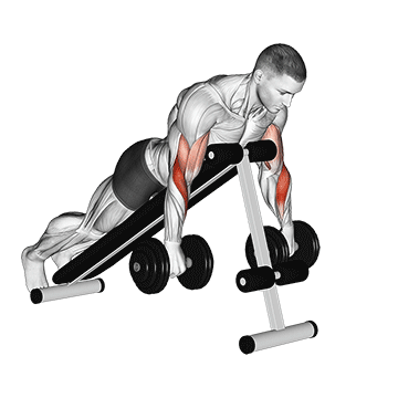 How to do Dumbbell Reverse Spider Curl — animated demonstration