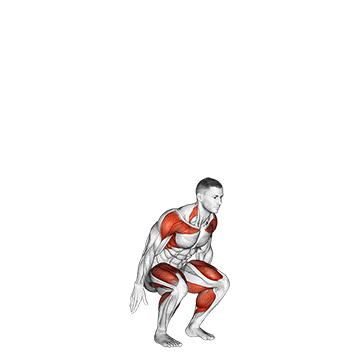 How to do Squat to Overhead Reach — animated demonstration