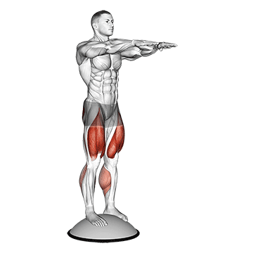 How to do Bosu Ball Squat — animated demonstration