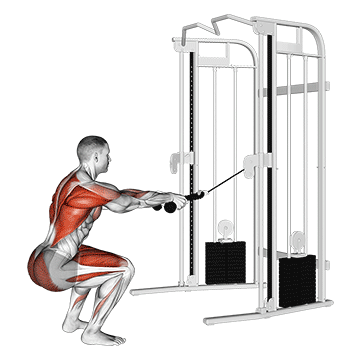 How to do Cable Squat Row (Rope) — animated demonstration