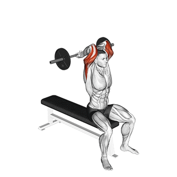 How to do Seated Behind-the-Neck Barbell Extension — animated demonstration
