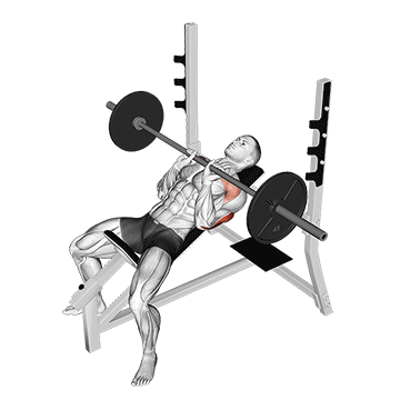 How to do Barbell Incline Close-Grip Bench Press — animated demonstration