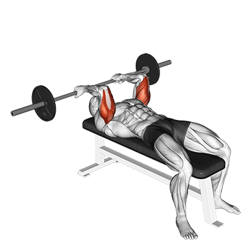 How to do Barbell Reverse-Grip Skullcrusher — animated demonstration