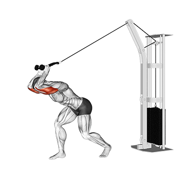 How to do High-Pulley Cable Overhead Extension — animated demonstration