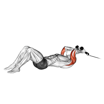 How to do Floor Cable Triceps Extension (Rope) — animated demonstration
