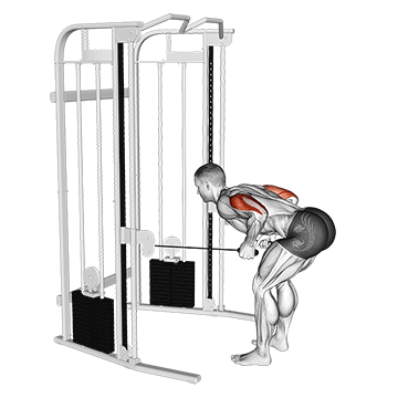 How to do Cable Triceps Kickback — animated demonstration