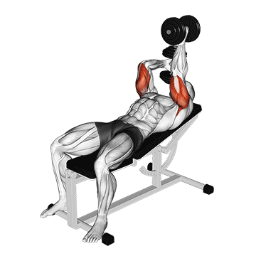 How to do Dumbbell Lying Alternating Extension — animated demonstration