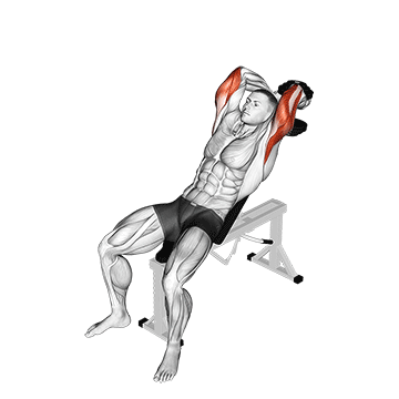 How to do Dumbbell Incline Two-Arm Extension — animated demonstration
