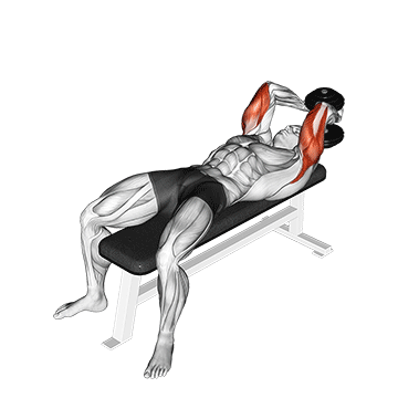 How to do Dumbbell Lying Single Extension — animated demonstration
