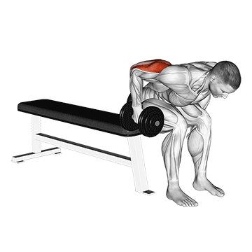 How to do Dumbbell Seated Bent-Over Triceps Extension — animated demonstration