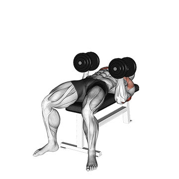 How to do Dumbbell Twisting Bench Press — animated demonstration