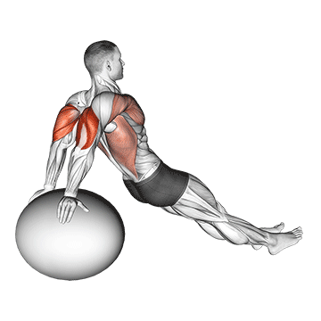 How to do Stability Ball Dip — animated demonstration