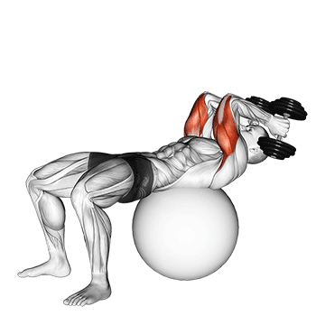 How to do Dumbbell Supine Triceps Extension — animated demonstration