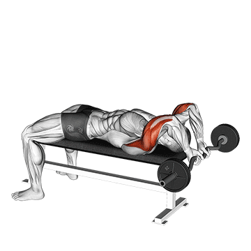 How to do Behind-the-Head EZ-Bar Triceps Extension — animated demonstration