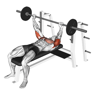 How to do Barbell Pin Presses — animated demonstration