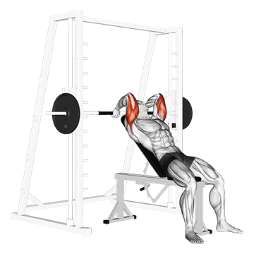 How to do Incline Smith Machine Triceps Extension — animated demonstration