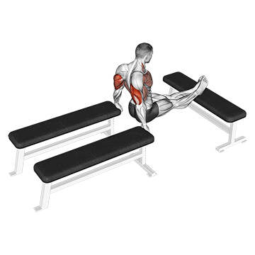 How to do Three Bench Dip — animated demonstration