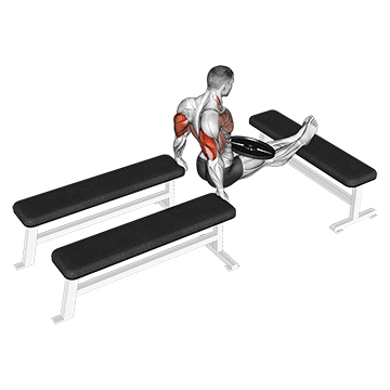 How to do Weighted Three Bench Dips — animated demonstration