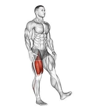 How to do Pistol Squat — animated demonstration