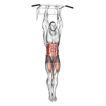How to do Hanging Oblique Knee Raise — animated demonstration