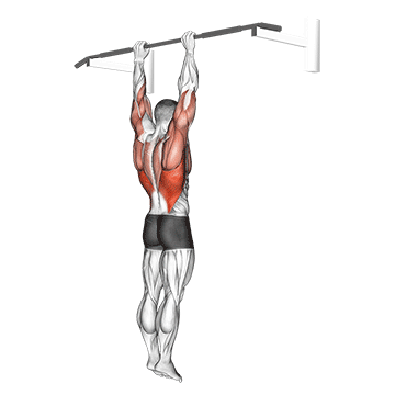 How to do Shoulder Grip Pull-Up — animated demonstration
