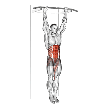 How to do Hanging Leg Hip Raise — animated demonstration